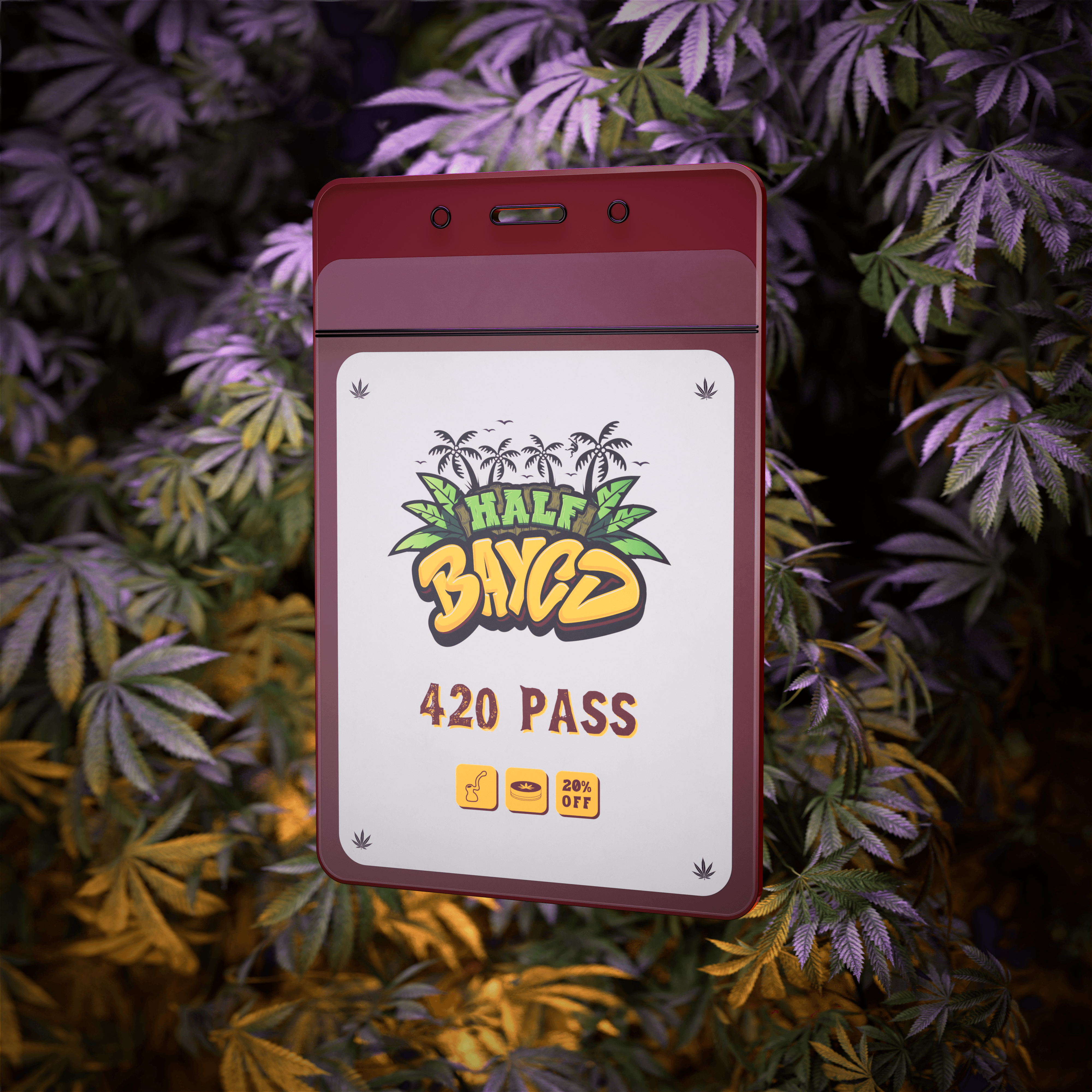 Half BAYCD: 420 Pass