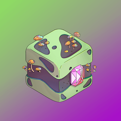 Genesis Momo Box