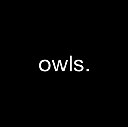 owls. exzibbi. edition. collection image