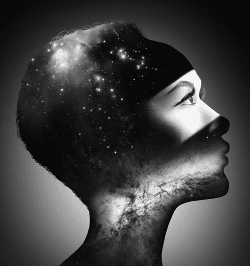 The Stars