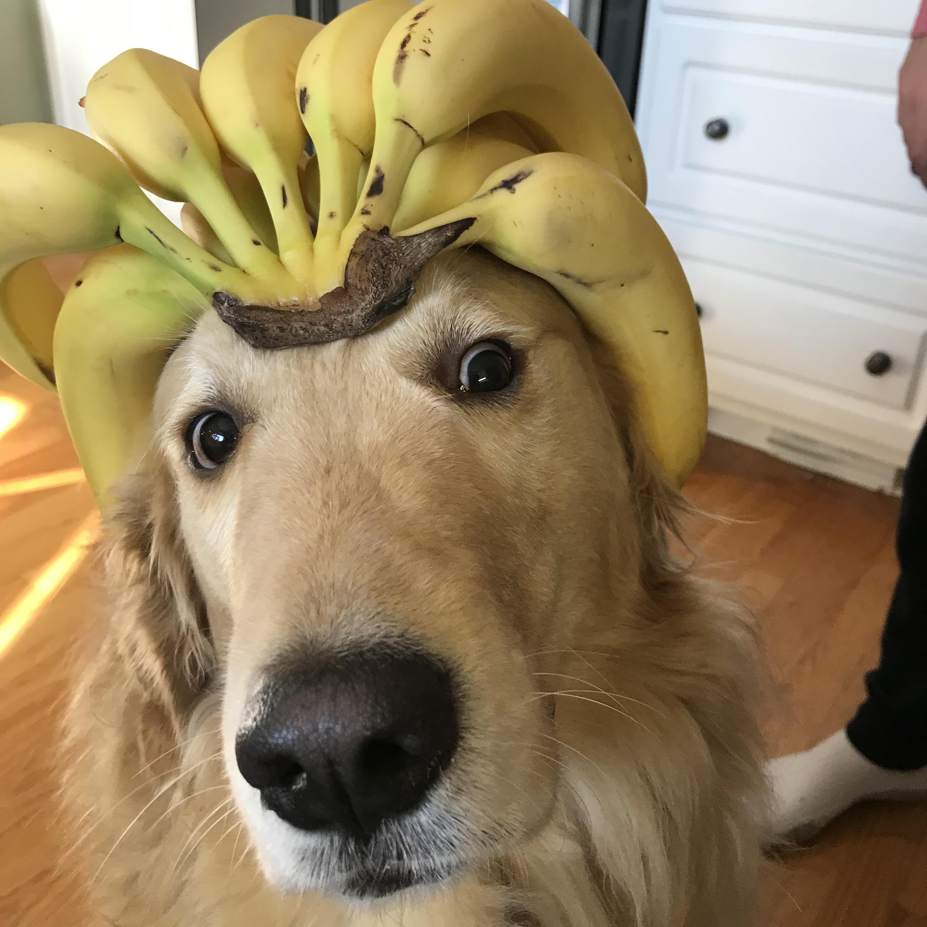 Bananoking