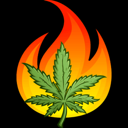 Lit Leaf Cannabis Club collection image