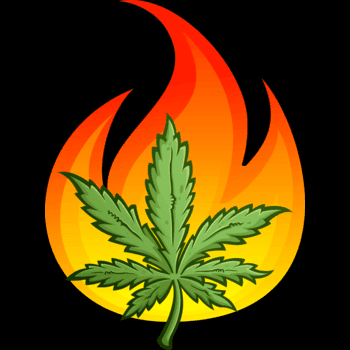 Lit Leaf Cannabis Club