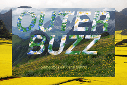 OUTER BUZZ collection image