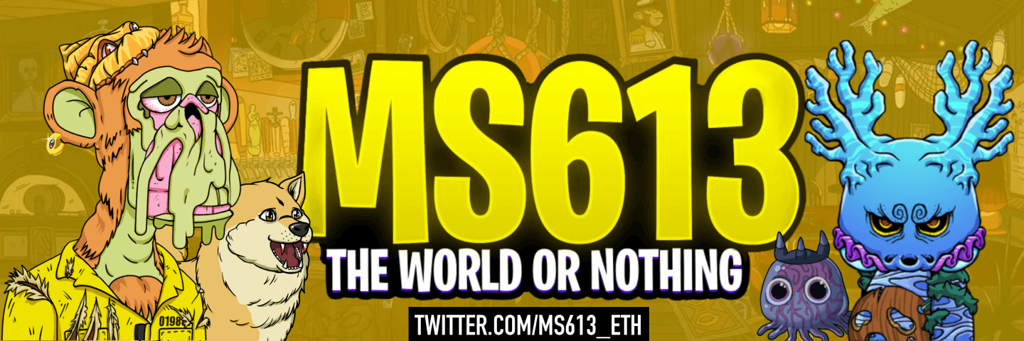 MS613 banner