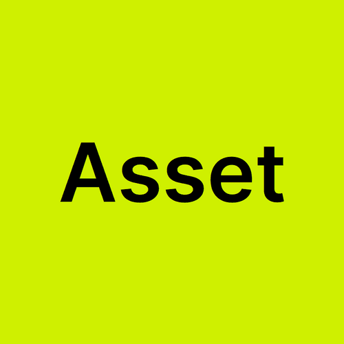 Asset