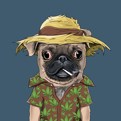 Pug #0185
