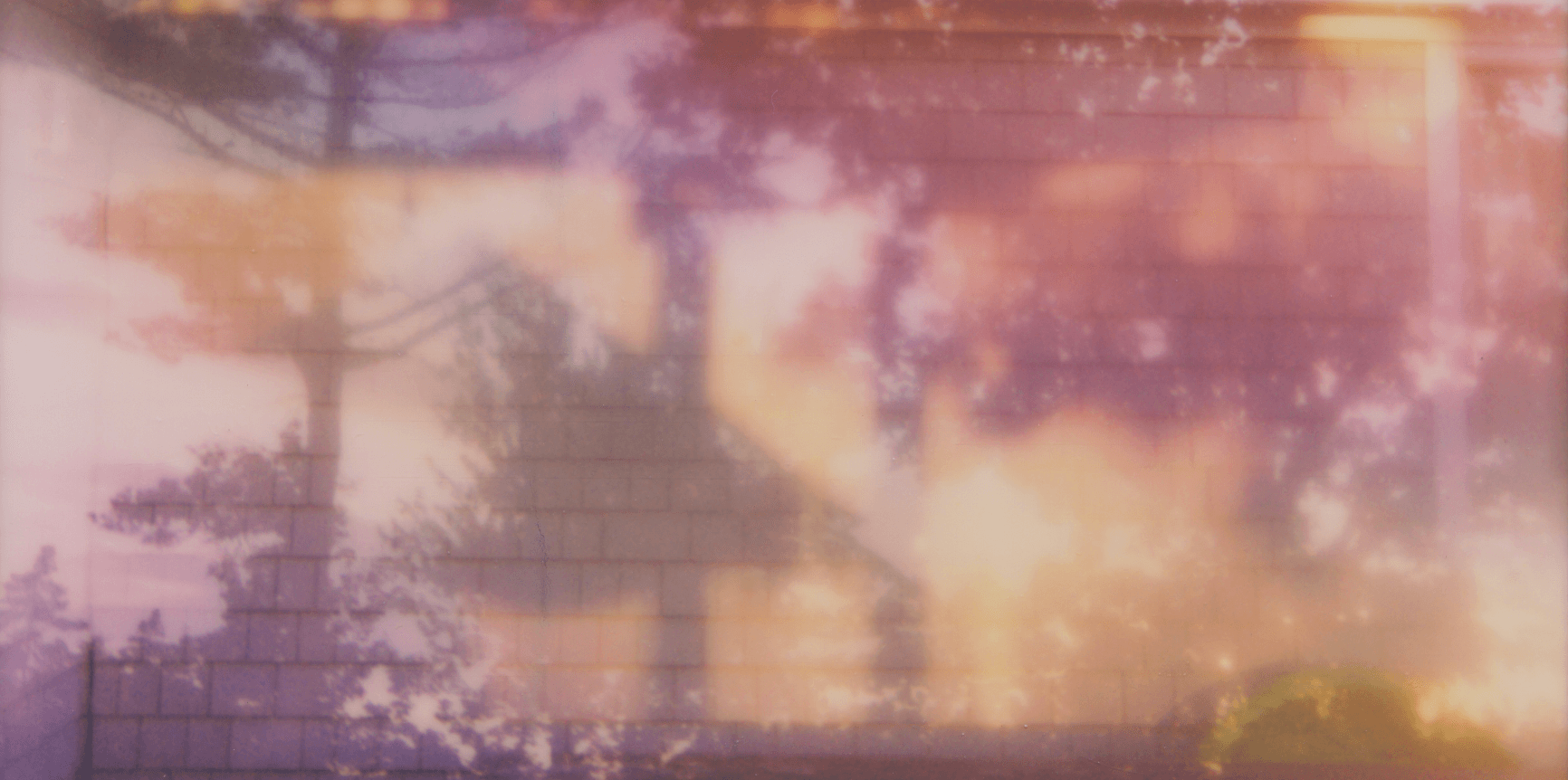 ENDLESS SUMMER Manifestation