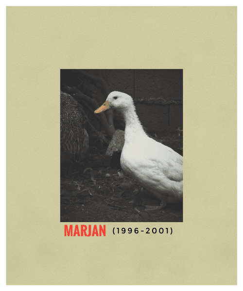 Marjan
