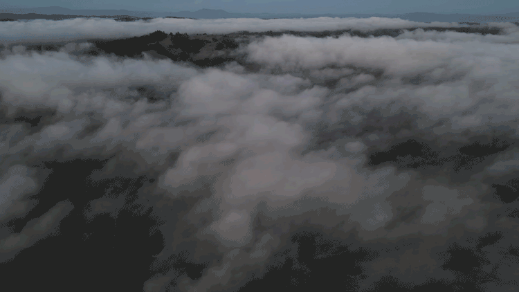 Flight