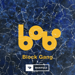 ZhouYongyou x BlockGang Labs x manifold:2022 collection image