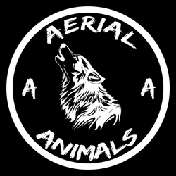 Aerial Animals collection image