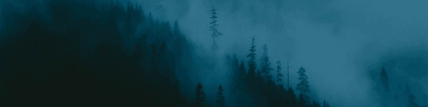dlngo banner