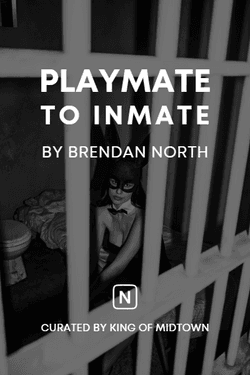 Playmate to Inmate collection image
