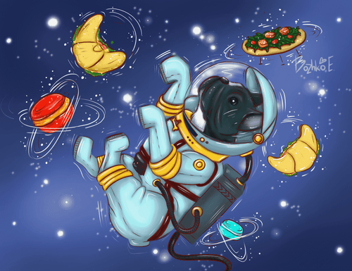 Bruno in space