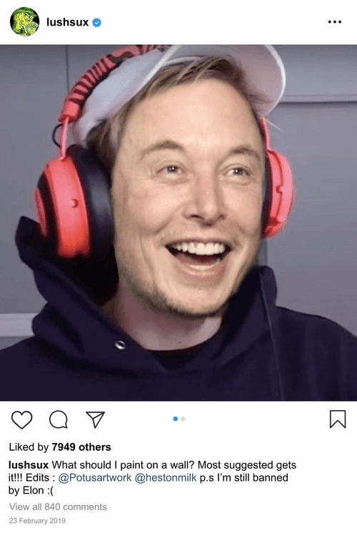 Lushsux #3408 - Shit Post Elon Musk PewDiePie
