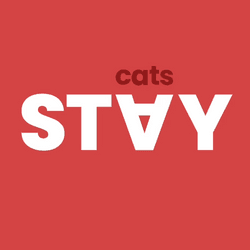 Stay Cats Premium collection image
