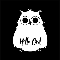 Hello Owl Official collection image