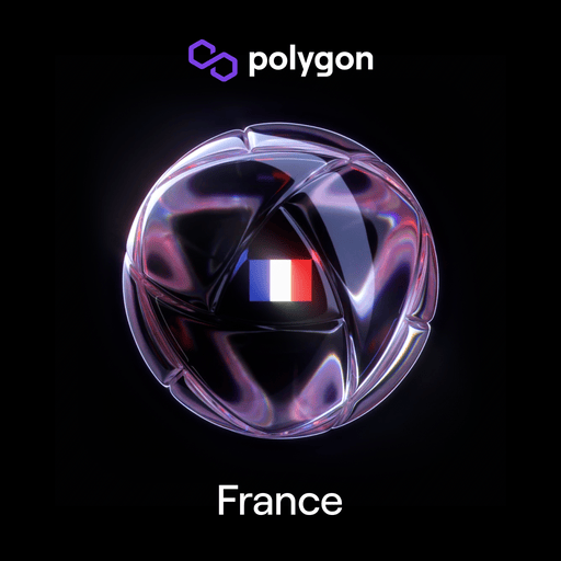 France Polygon Football Collectible