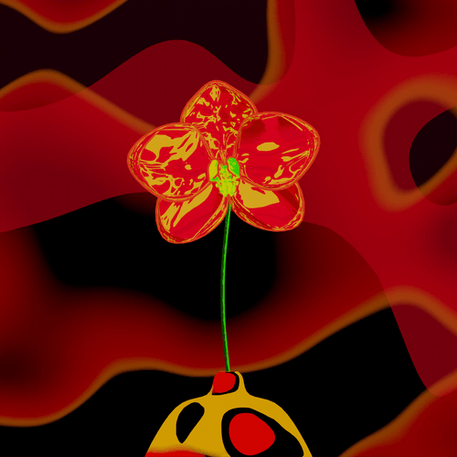 Phalaenopsis-Magma-