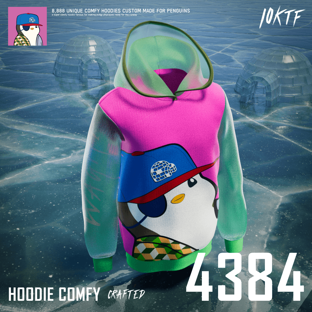 Pudgy Comfy Hoodie #4384