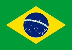 Vote For Brazil collection image