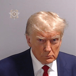 Trump Mugshot collection image