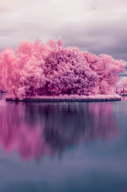 My Infrared Adventures