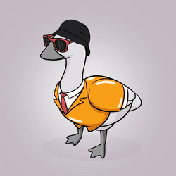 Honk #851