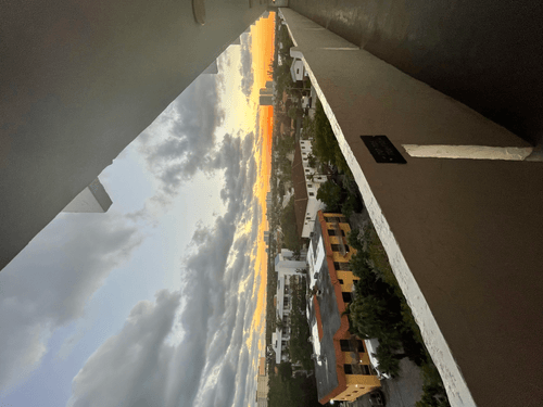 zadan.lens-Collect-116