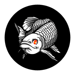 Dragon Fish Tokyo collection image