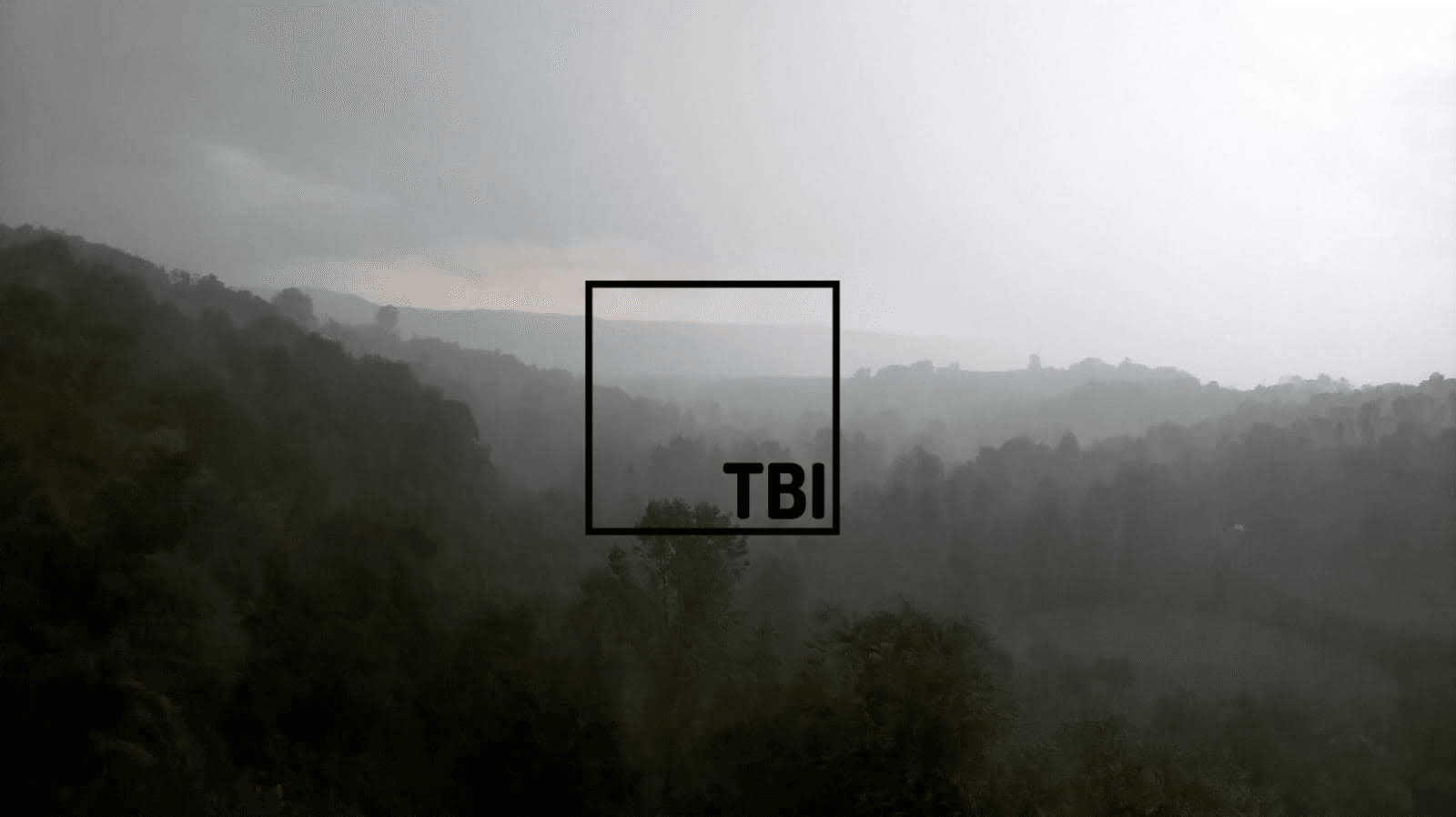 tbidesign banner