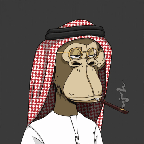 DubaiBornApes Member Pass Officials