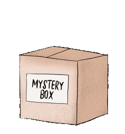 Rollbit NFTs Mystery Boxes collection image