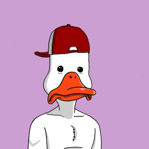 Duck #66