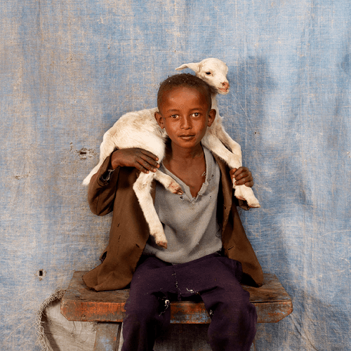How Much Can You Carry by Floriane de Lassée