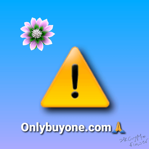 Onlybuyone.com