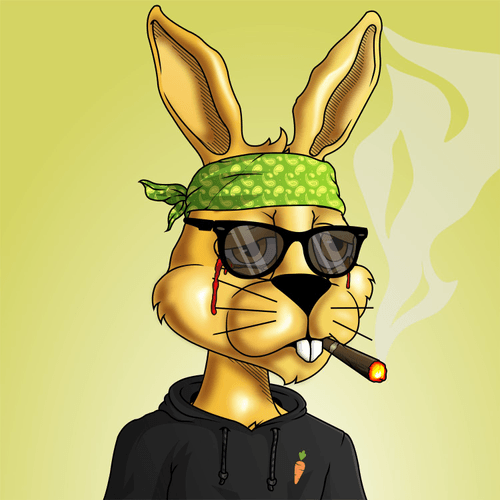 New World Bunnies