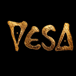 VESA NFTs collection image