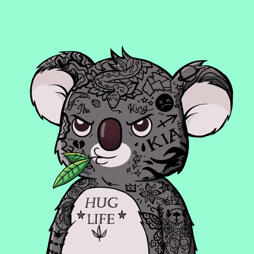 Koala Agent #2586
