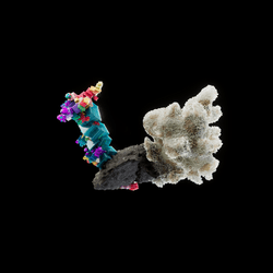 OG:Crystal 6319