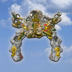 jurtakashrines collection image
