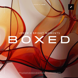 BOXED by LOREM collection image