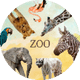 Real pixel Zoo