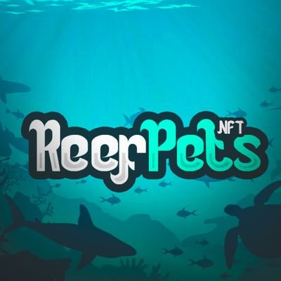 ReefPets Clownfish collection image