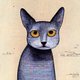 Confused And Colorful Cats