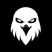 FalconEyeV1
