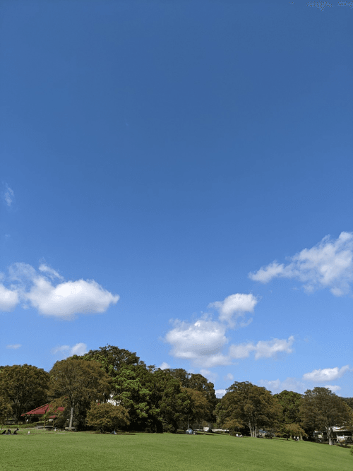 Sky, Clouds, and Forest