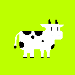 THE COW collection image