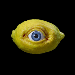 The All Seeing Lemon collection image